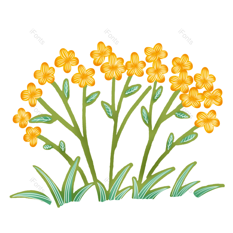卡通图片,绿叶元素,花卉PNG,花朵免抠素材